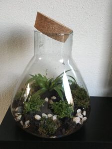 Maak je eigen mini-ecosysteem diy.