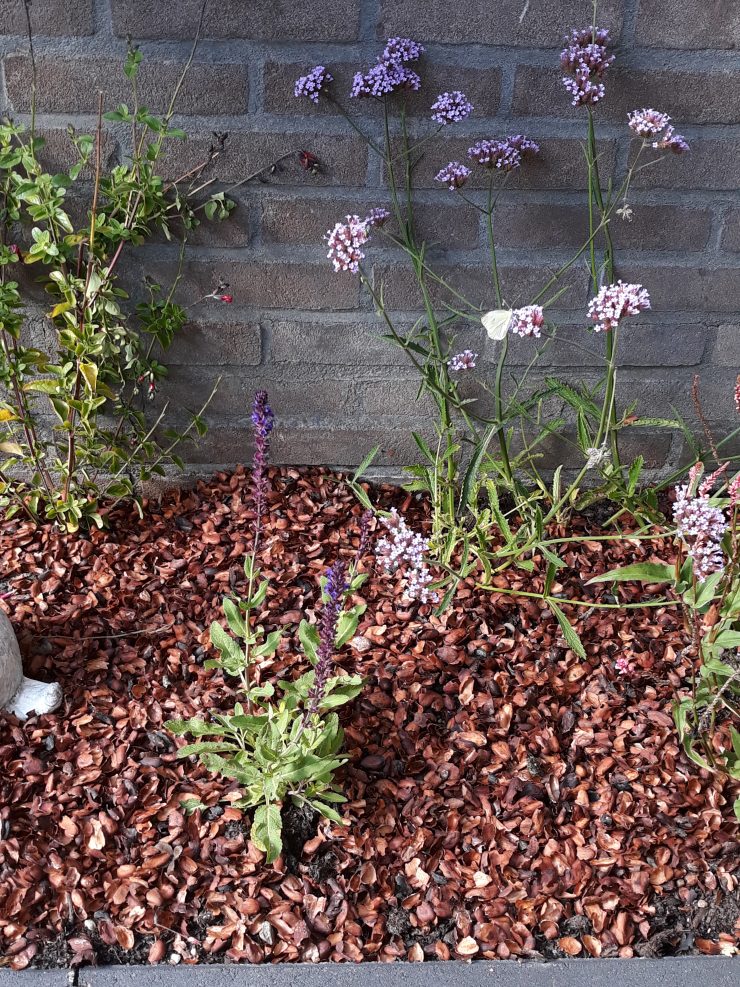 Deel 2 Wat helpt er wel tegen kattenpoep in je tuin?