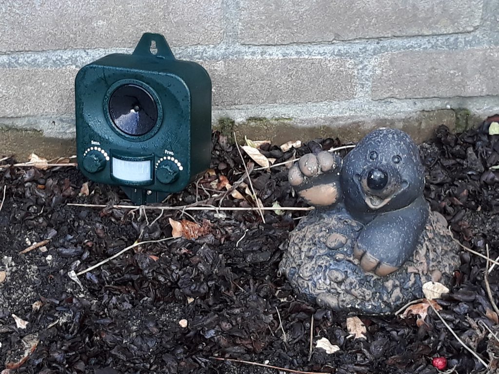 Deel 2 Wat helpt er wel tegen kattenpoep in je tuin?