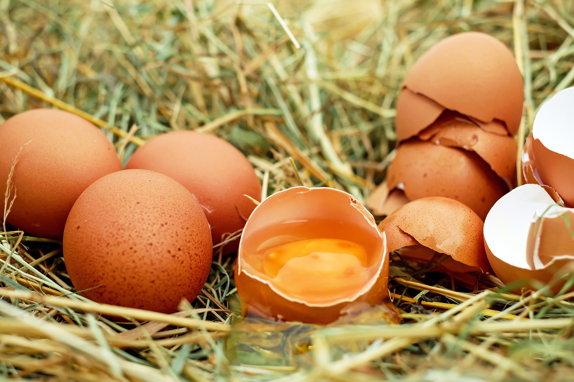 Hoe gebruik je eieren optimaal?