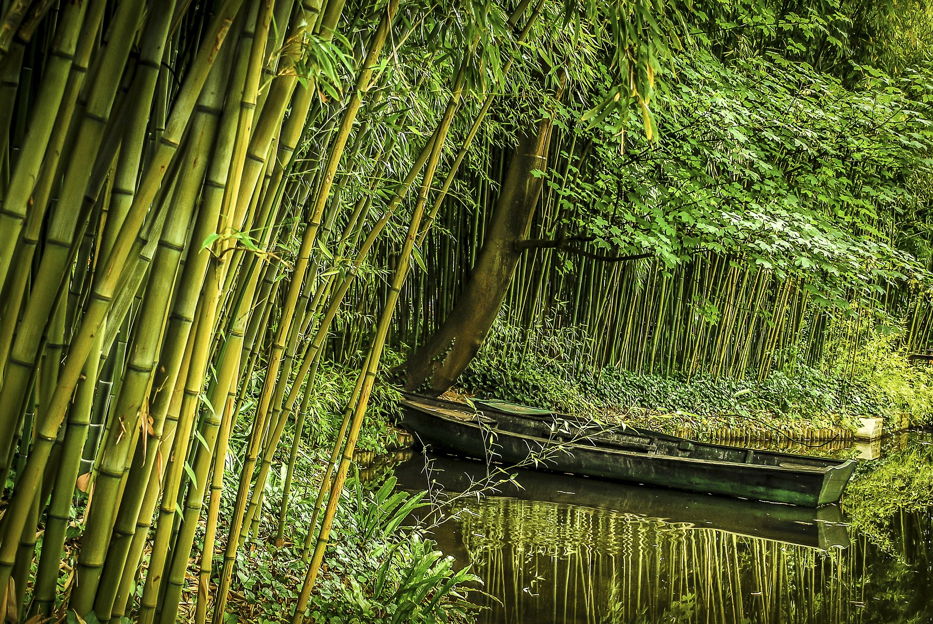 Hoe je met milieuvriendelijk bamboe toiletpapier bijdraagt aan een betere wereld