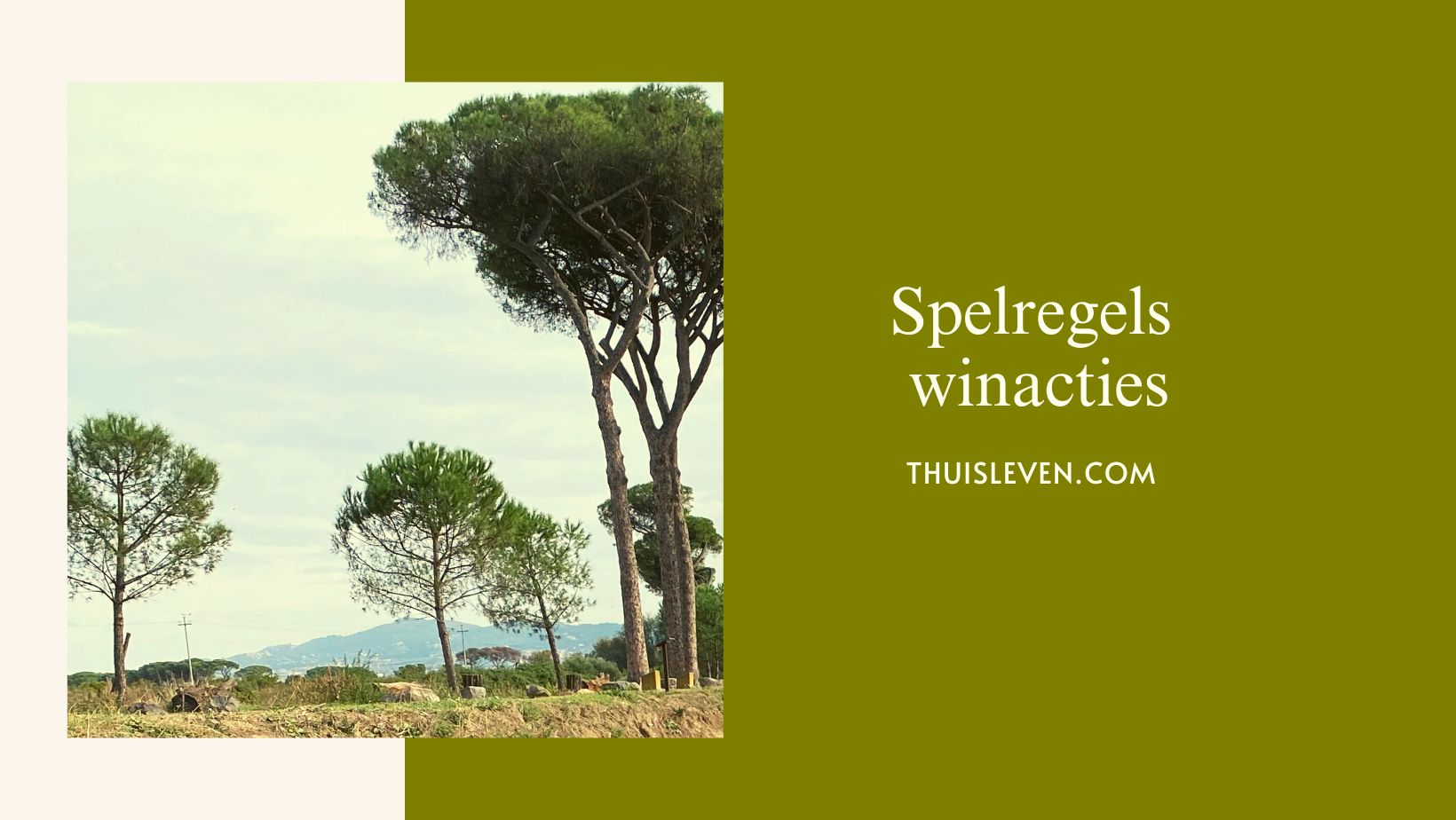 Spelregels winacties