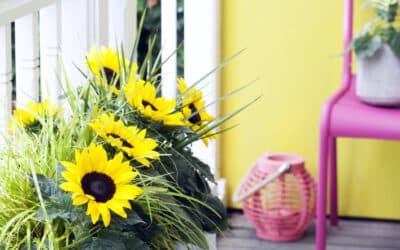 Genieten van de zomer in de (half)zon met tuinbloeiers