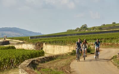 Fietsvakanties in Frankrijk: ontdek de beste routes en tips