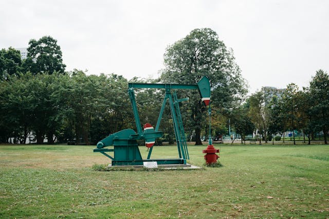 ja-knikker op grasveld.