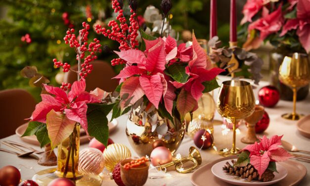 Creëer een perfecte kersttafel met sfeervolle kerststerren