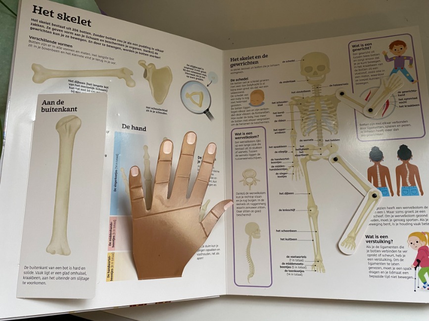 Het grote boek over het menselijk lichaam - het skelet.