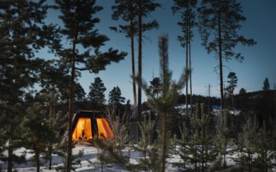 Een smaakvolle winter in Västerbotten