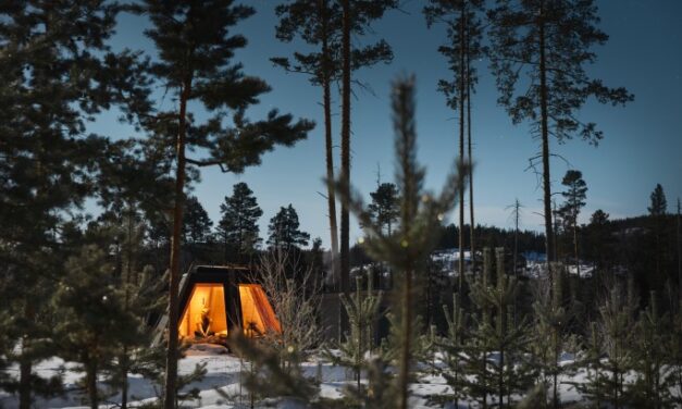 Een smaakvolle winter in Västerbotten