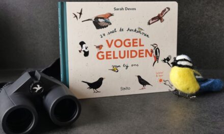 ’24 snel te herkennen vogel geluiden van bij ons’